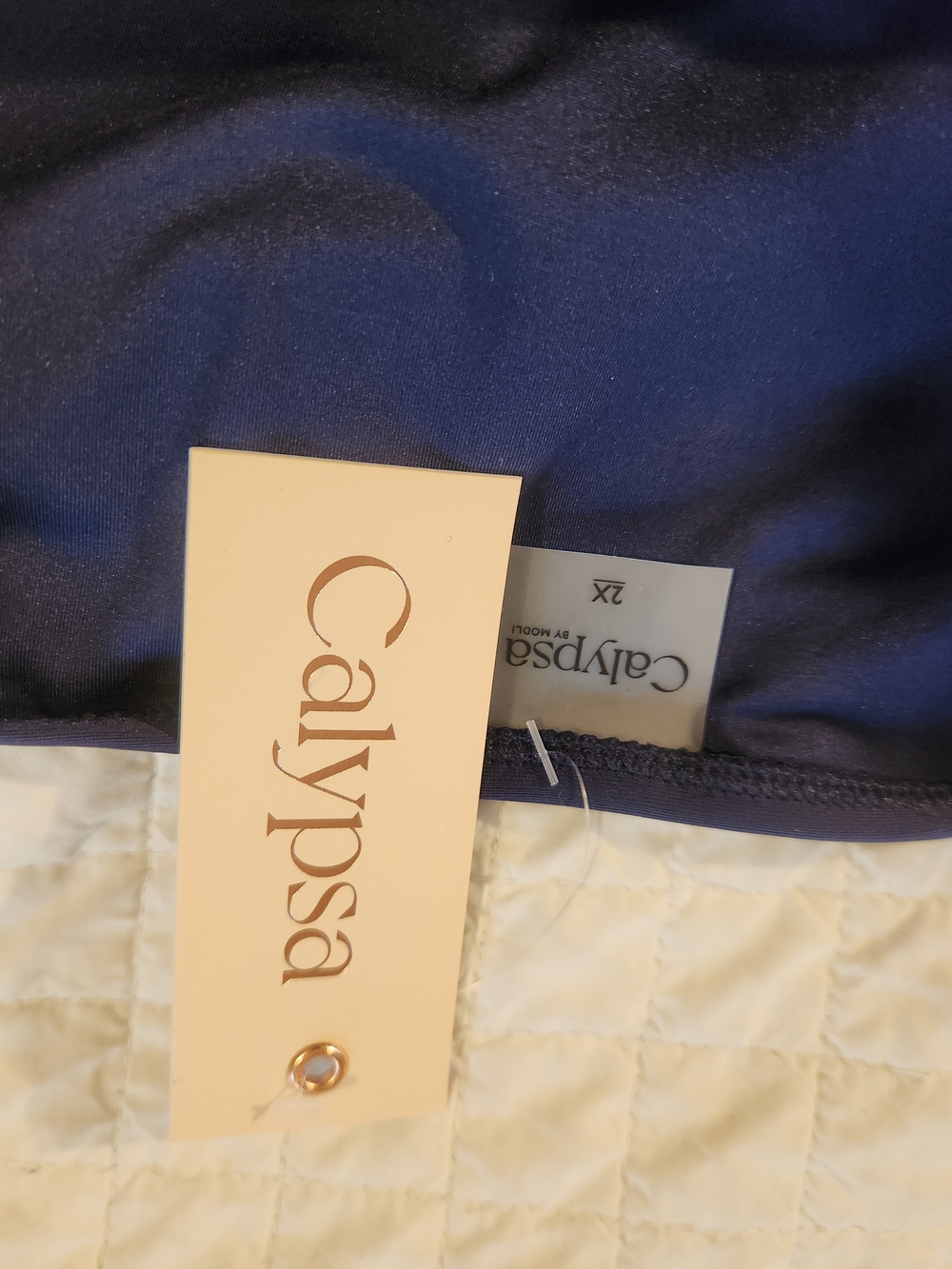 Nwt Calypsa Swim Dress Size 2x - image 4